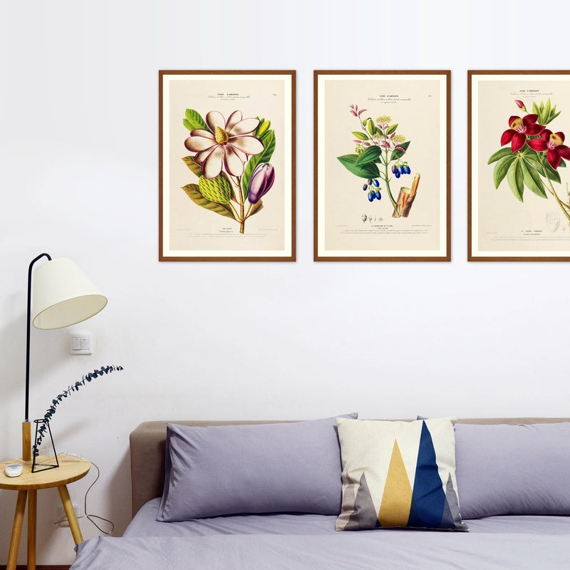 Botanical print trio.